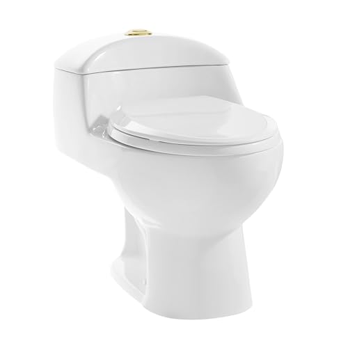 Chateau One Piece Elongated Toilet