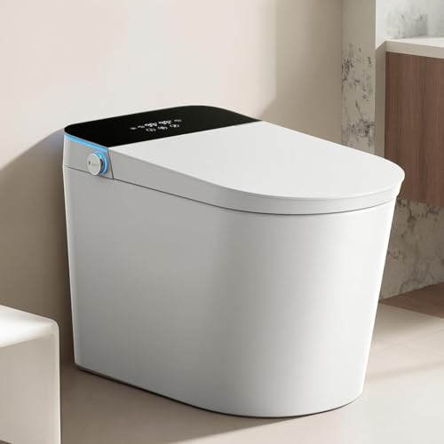 Smart Toilet with Bidet Built-in:
