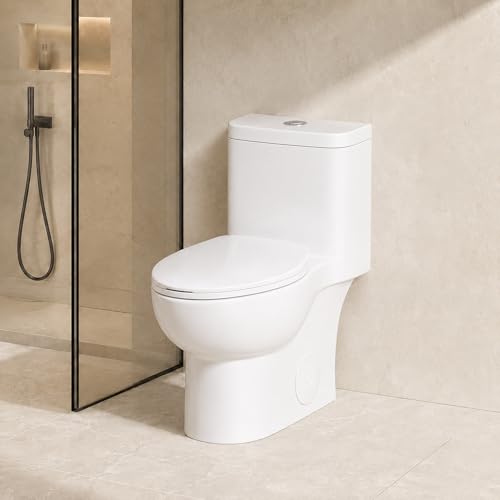 Gloss White One Piece Toilet