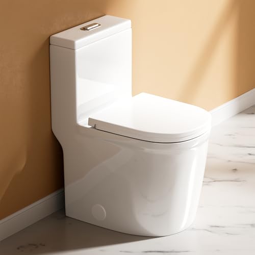 WinZo Compact One Piece Toilet