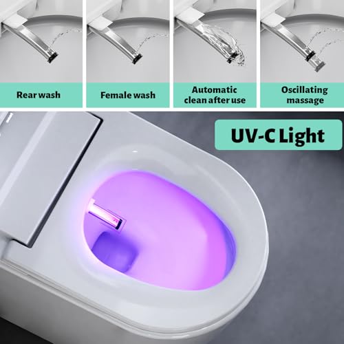 Smart Toilet with Bidet Built view 2