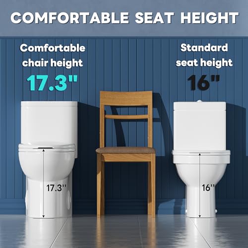 AKNIRL Elongated One Piece Toilet view 3