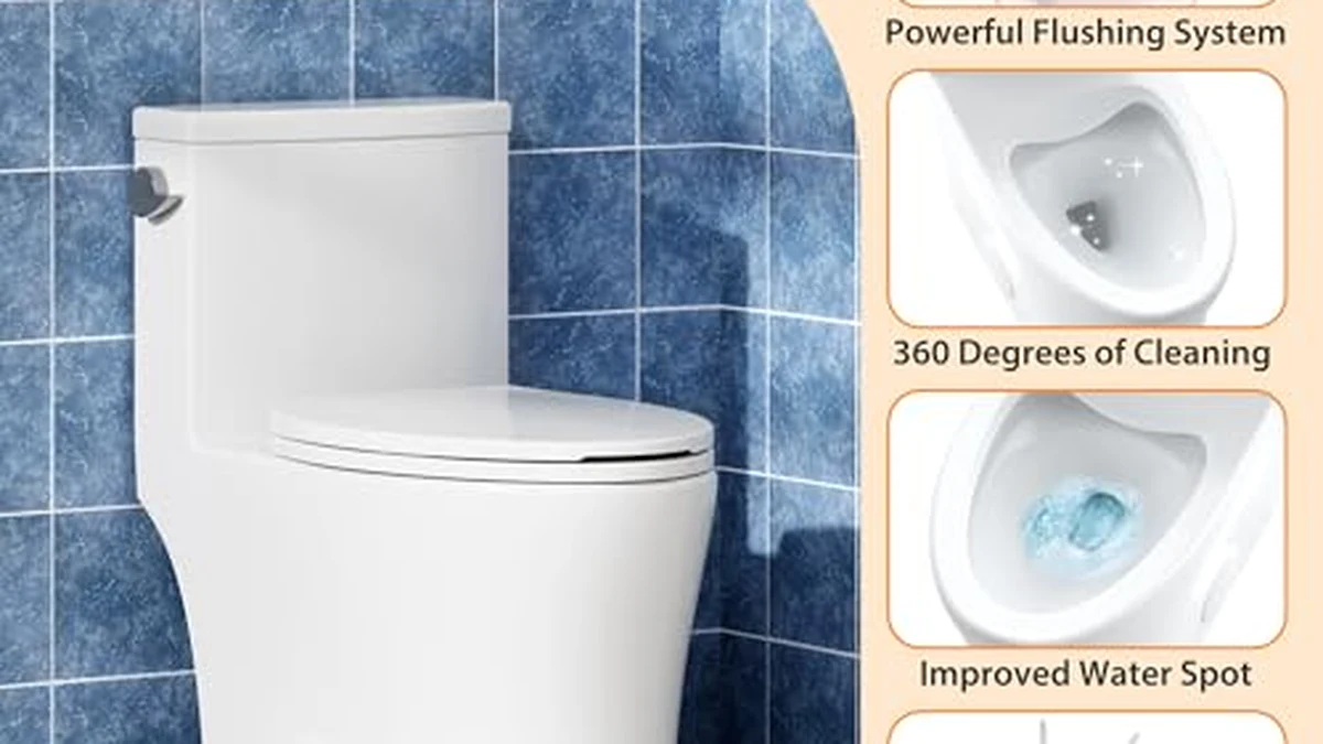 One Piece Toilet Buying Guide comparison